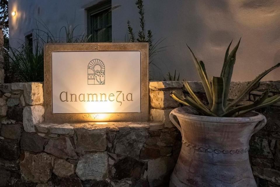 Anamnezia Luxury Suites (Adults Only) Agios Dimitrios  Exterior foto